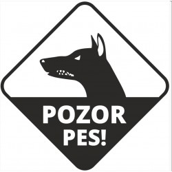 Pes v autě trojůhelník