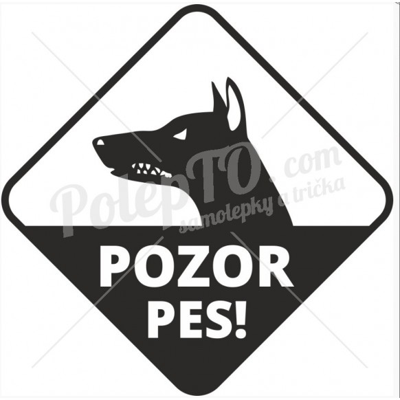 Pes v autě trojůhelník