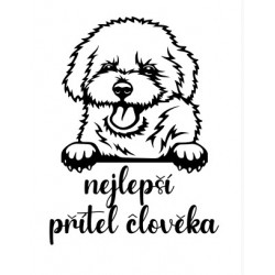 Nejlepší přítel