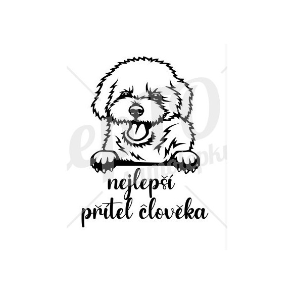 Nejlepší přítel