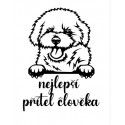 Nejlepší přítel