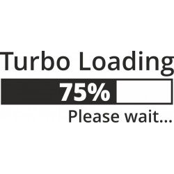 Turbo loading, 75% please wait...