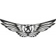 Peugeot wings